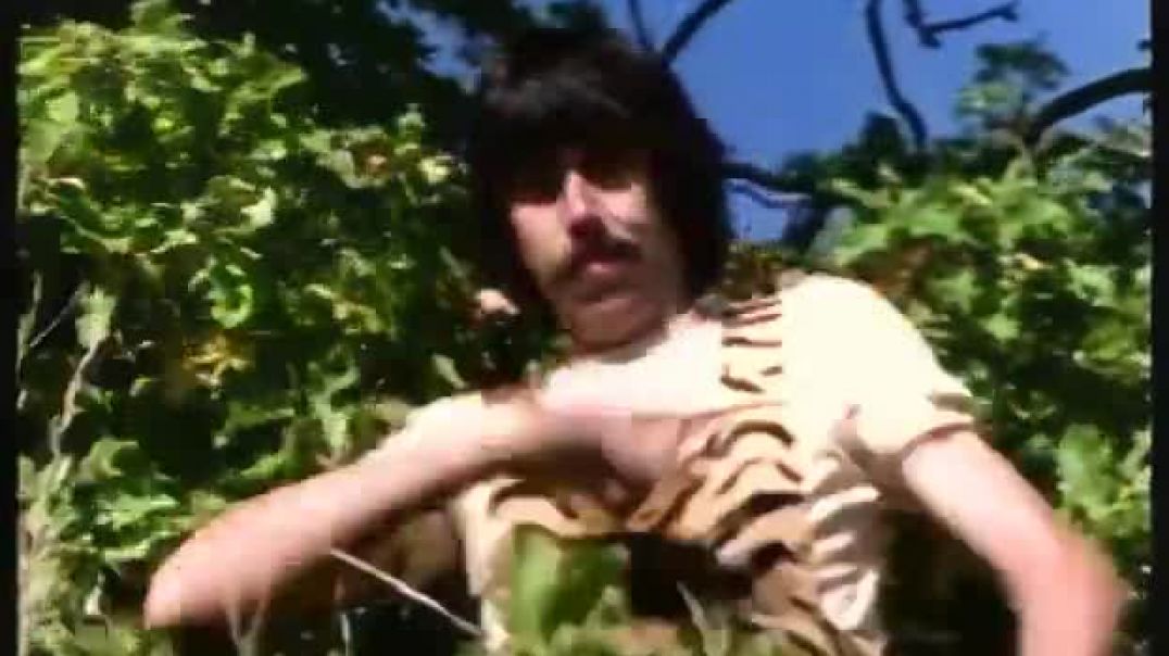 Tecknat Barn Svenska:Trazan och Banarne (1976) DVDRIPPEN (Svenska) Juldagenstajm (HD)